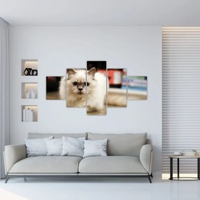Tablou cu pisica albăr (125x70 cm), în 40 de alte dimensiuni noi