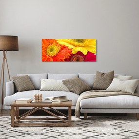 Tablou - Flori Gerbery (120x50 cm)