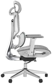 HBADA E3 AIR Scaun ergonomic, cu suport lombar dinamic pe 3 zone, tetieră reglabilă 3D, cotiere reglabile 6D, pivotant, Gri