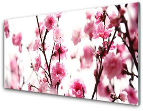 Tablouri acrilice Ramuri de flori Floral Brown roz