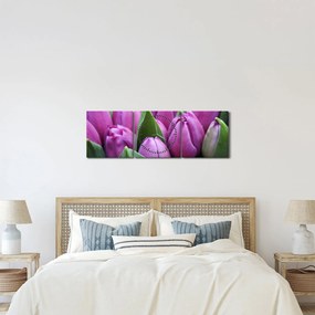 Tablou - florile lalelelor (cu ceas) (90x30 cm)