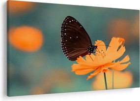 Tablou - fluture pe o floare portocalie (90x60 cm)
