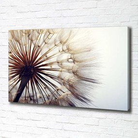 Tablou pe pânză canvas Păpădie