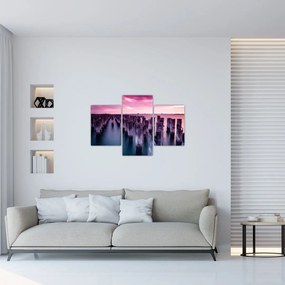 Tablou cu pari din lemn (90x60 cm)