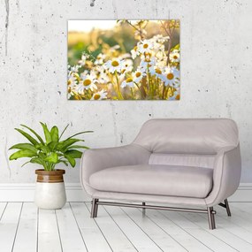 Tablou - Margarete (70x50 cm)