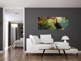 Tablou - Tukan (120x50 cm)