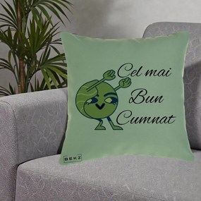 Cadou pentru Cumnat - Perna Personalizata Cel mai Bun Cumnat cu Personaj Funny Verde, 40x40 cm, Verde, Husa Detasabila, Perna Inclusa, BEKZ®