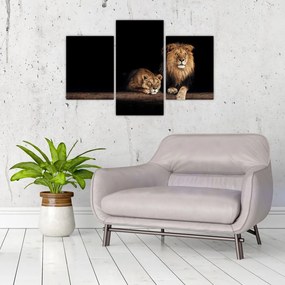 Tablou - Leu și leoaică (90x60 cm)