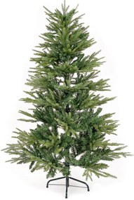 Brad de Crăciun Smrk sivý, 150 cm