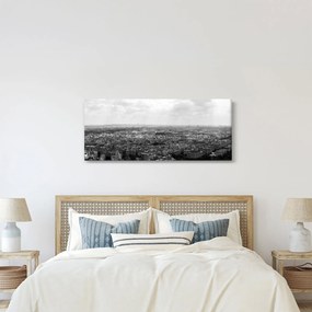Tablou - Acoperișuri clădirilor din Paris (120x50 cm)