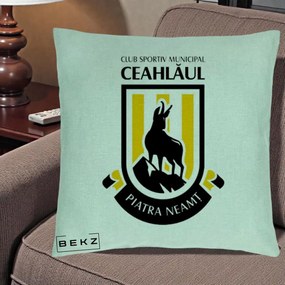 Perna Personalizata CSM Ceahlaul Piatra Neamt Fotbal, 40x40 cm, Verde Menta, Husa Detasabila, Perna Inclusa, BEKZ®