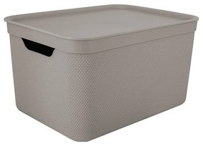 Cutie de depozitare din plastic cu capac Deco - Rotho