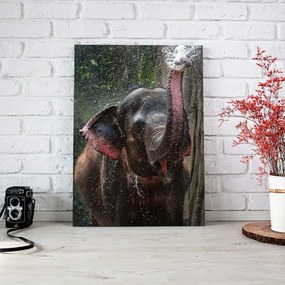 Tablou Canvas - Elephant 70 x 105 cm