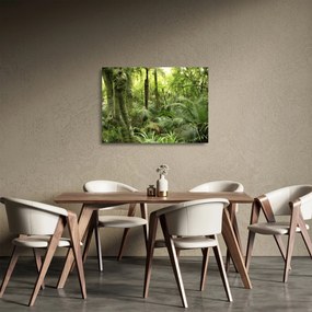 Tablou pe sticlă - Pădure tropicală (70x50 cm)
