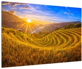 Tablou - Terasele de orez din Vietnam (90x60 cm)