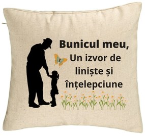 Perna Decorativa pentru Bunicul 5, 40x40 cm, Bej, Husa Detasabila, Burduf