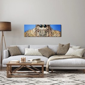 Tablou cu detalii a unui pâianjen (cu ceas) (90x30 cm)