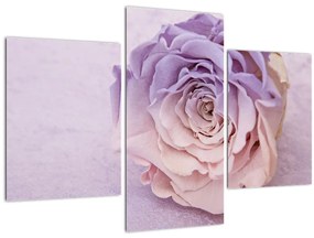 Tablou detaliu florii de trandafir (90x60 cm)