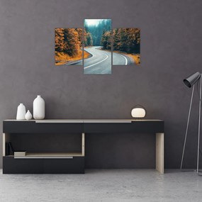 Tablou - Drumul cu serpentine (90x60 cm)