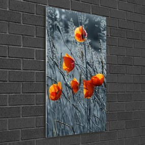 Tablou acrilic Wildflowers maci