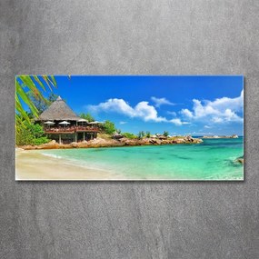 Tablou pe sticlă acrilică Plaja seychelles