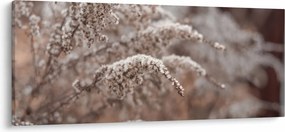 Tablou cu plante (120x50 cm)