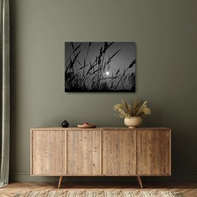 Tablou pe sticlă - Pajiște cu apus de soare (70x50 cm)