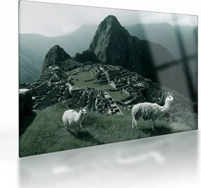 Tablou pe sticlă - Lamas la Machu Picchu în Peru (70x50 cm)