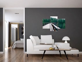 Tablou - Pod spre vârfurile copacilor (90x60 cm)
