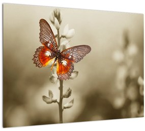 Tablou pe sticlă cu fluture (70x50 cm)