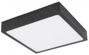 Plafoniera moderna led 22W Echo 12369-22 Globo