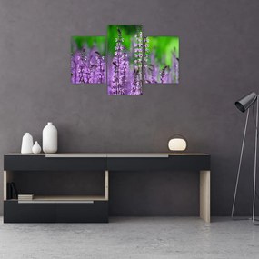 Tablou cu flori de luncă violete (90x60 cm)