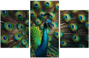 Tablou – Păun (90x60 cm)