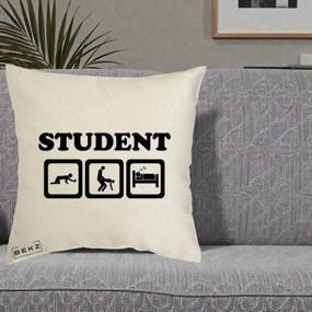 Perna Decorativa Student Life, 40x40 cm, Ecru, Husa Detasabila, Perna Inclusa, BEKZ®