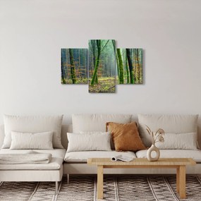 Tablou cu pădure (90x60 cm)