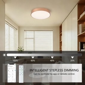 Brilagi-LED Corp de iluminat cu dimmer POOL SMART LED/48W/230V 40 cm Wi‑Fi Tuya, bronz + telecomandă