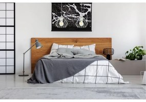 Lustră pe cablu CEED 2xE27/60W/230V