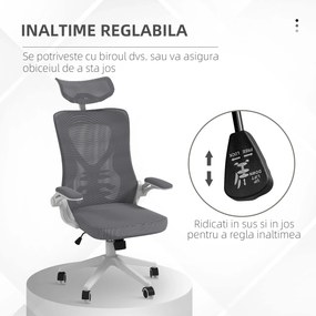 Vinsetto Scaun Ergonomic de Birou Reglabil cu Tetiera Suport Lombar Cotiere Rabatabile Gri/Negru 65x64x120-130cm | Aosom Romania