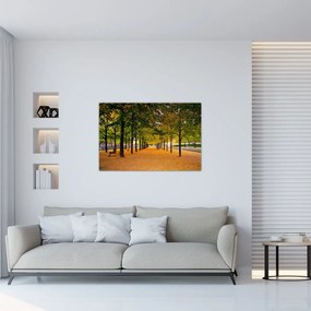 Tablou cu alee cu copaci în toamnă (90x60 cm)