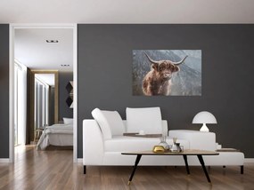 Tablou - Vaca Highlander (90x60 cm)