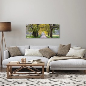 Tablou - Smoky Mountains, Gatlinburg, SUA (120x50 cm)