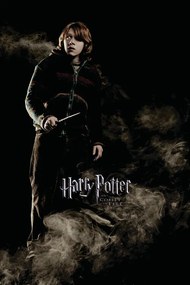 Poster de artă Harry Potter and the Goblet of Fire - Ron