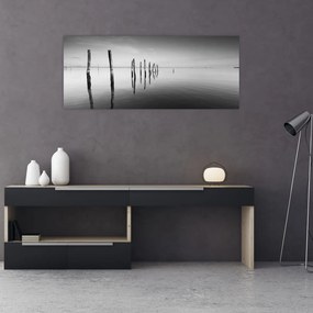 Tablou cu nivelul de lac alb negru (120x50 cm)