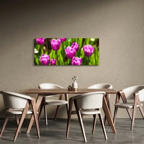 Tablou cu lale pe luncă (120x50 cm)