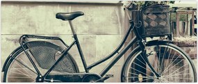 Tablou - Bicicleta de epocă cu flori (120x50 cm)
