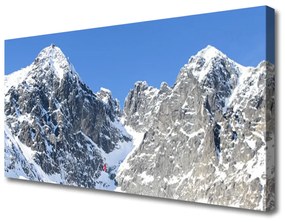 Tablou pe panza canvas Peisaj de munte Zapada Gri Alb