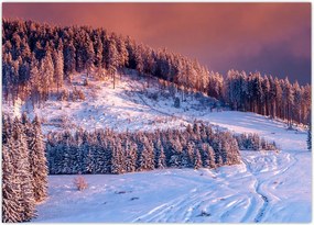 Tablou - Peisaj de iarnă (70x50 cm)