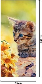 Fototapet pentru ușă - Pisoiaș privind floarea (95x205cm)