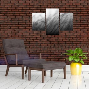 Tablou - Iarba în vânt (90x60 cm)