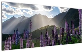 Tablou - scenariu cu flori de Lupin (120x50 cm), în 40 de alte dimensiuni noi